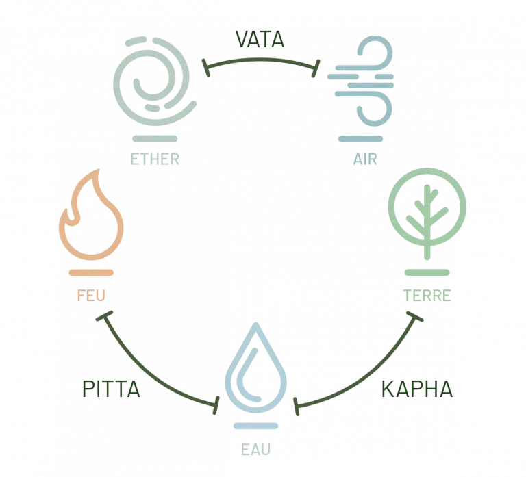 schema dosha schema dosha